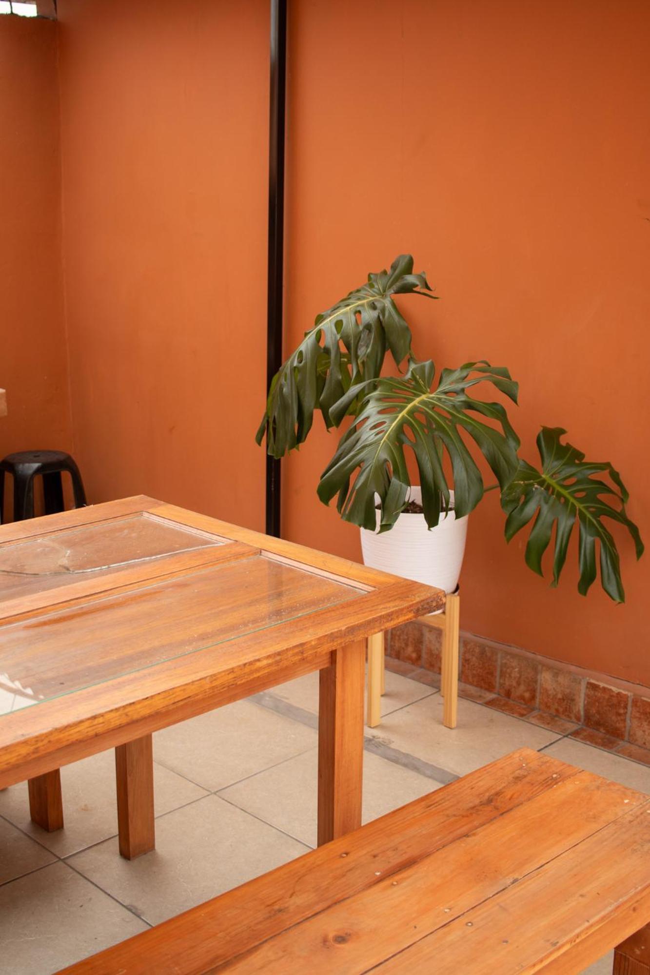 Temazcal Hostel Lima Exterior photo